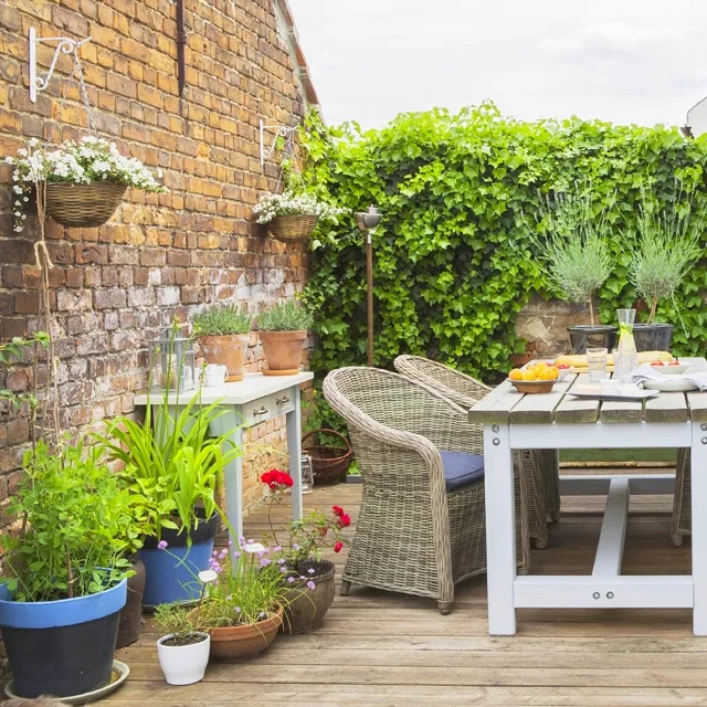 640 (1).webp (1).jpg